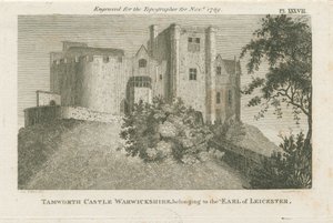 Tamworth Castle von Stebbing Shaw
