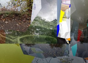 Fragmentierte urbane Natur