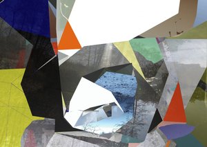 Geometrische Naturcollage von Stefan Fransson