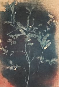 Verblasste Blaue Botanicals