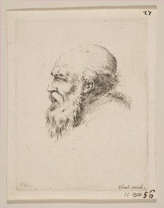 Kopf eines kahlen und bärtigen alten Mannes im Profil, aus Verschiedene Köpfe und Figuren Diverses..., 1650 von Stefano della Bella
