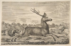 Hunde jagen einen Hirsch und eine Hirschkuh, ca. 1654