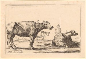 Kühe, Blatt 8 der Folge "Verschiedene Figuren" von Stefano della Bella
