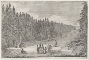 Allee mit Brunnen im Garten der Villa Pratolino (Die Villa Pratolino) von Stefano della Bella