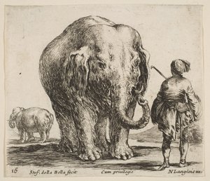 Blatt 16: Ein Elefant in der Mitte, sein Mahout steht rechts und trägt eine orientalische Kopfbedeckung, ca. 1644-47 von Stefano della Bella