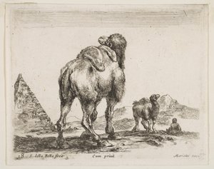 Tafel 18: Kamel von hinten gesehen mit Pyramide links, aus Verschiedene Tiere Diversi animali, ca. 1641 von Stefano della Bella