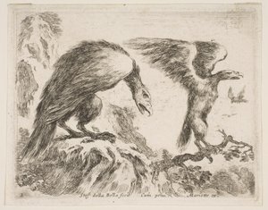 Tafel 2: Adler und Adlerjunges, aus Verschiedene Tiere, ca. 1641