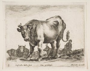 Tafel 8: Kuh, aus Verschiedene Tiere Diversi animali, ca. 1641 von Stefano della Bella