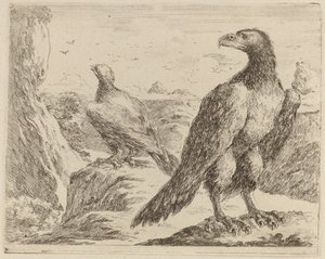 Zwei Adler, beide mit Köpfen nach links gedreht von Stefano della Bella