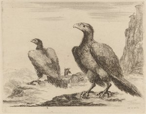 Zwei Adler, beide mit nach links gedrehten Köpfen, auf einer hohen Klippe von Stefano della Bella