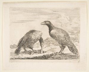 Zwei Adler, einer verschlingt ein Lamm, aus Adler Les aigles, ca. 1651 von Stefano della Bella