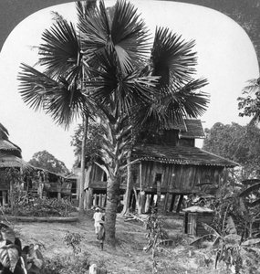 Einheimisches Haus auf Pfählen gebaut, Bhamo, Burma, 1908 von Stereo Travel Co