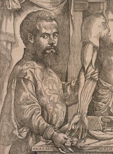 Andreas Vesalius seziert die Muskeln des Unterarms eines Kadavers