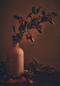 Rustikale Beeren in Flasche