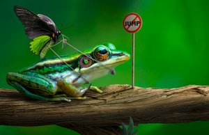 Lustiges Froschsprungzeichen