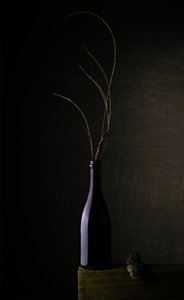 Dunkle Flasche Stillleben von Sumit Dhuper