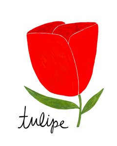 Lebendige Rote Tulpe