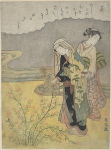 Der Buschklee (Hagi) von Suzuki Harunobu