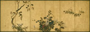 Blumen des Herbstes und Winters