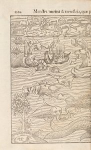 Seite 1004 aus Cosmographiae Universalis von Sebastian Muenster, Basel, 1572 von Swiss School