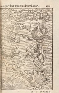 Seite 1005 aus Cosmographiae Universalis von Sebastian Muenster, Basel, 1572 von Swiss School