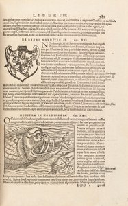 Seite 983 aus Cosmographiae Universalis von Sebastian Muenster, Basel, 1572 von Swiss School