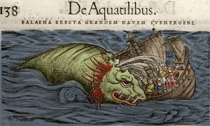 Seemonster greift ein Schiff an, Illustration aus 
