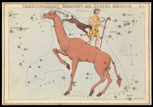 Camelopadalis, Tarandus und Custos Messium, um 1825