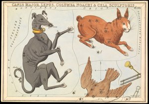Canis Major. Lepus, Columba Noachi & Cela Sculptoris, ca. 1825 von Sydney Hall