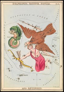Delphinus, Sagitta, Aquila und Antinous, um 1825