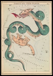 Draco und Ursa Minor, ca. 1825 von Sydney Hall