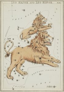 Leo Major und Leo Minor, Illustration aus 