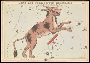 Luchs und Telescopium Hereschilii, ca. 1825 von Sydney Hall