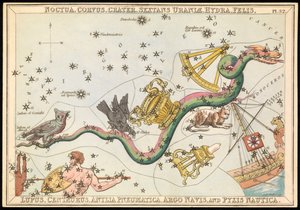 Noctua, Corvus, Crater, Sextans Uraniae, Hydra, Felis, Lupus, Centaurus, Antilia Pnuematica, Argo Navis und Pysix Nautica, um 1825 von Sydney Hall