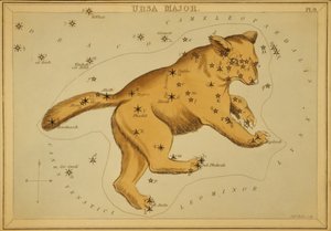 Großer Bär, Illustration aus 