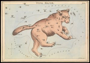 Großer Bär, ca. 1825 (Karton, Papier, Gewebe) von Sydney Hall