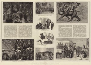 Die Indienreise des Prinzen von Wales von Sydney Prior Hall