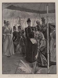 Die Prinzessin von Wales und der Nationale Pensionsfonds für Krankenschwestern von Sydney Prior Hall