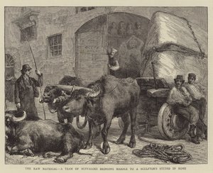 Das Rohmaterial, ein Team von Büffeln bringt Marmor in ein Bildhaueratelier in Rom von Sydney Prior Hall