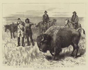 Zum großen Nordwesten mit dem Marquis von Lorne, X, eine Büffeljagd im Red River Valley, der Gnadenstoß