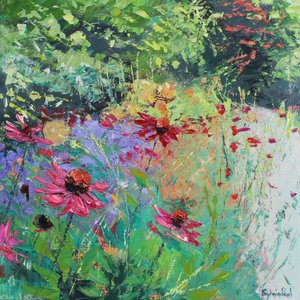 Echinacea im Beet, 2025