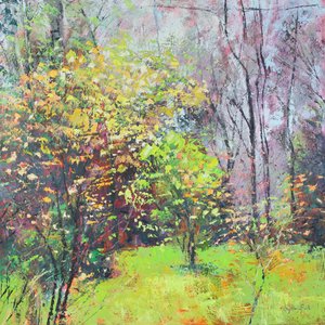 Frühlingsglanz von Sylvia Paul