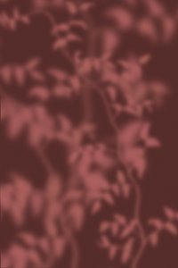 Sanfte Botanische Schatten von THE MIUUS STUDIO