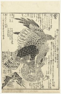 Adler mit Affe in seinen Klauen