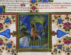 Randfries am Fuß der Seite mit monströsem Tier in Landschaft, Band II, f 207, v, Bibel von Borso d
