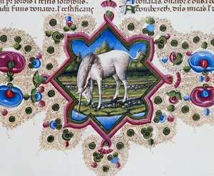 Randfries am Fuß der Seite mit Einhorn, Band II f 245, v, Bibel von Borso d