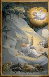 Die Verkündigung an die Hirten, aus dem Zyklus des Lebens der Jungfrau (Fresko) von Taddeo Gaddi