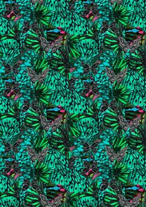 Schmetterling von Tara Whitehead