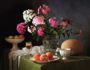 Phlox und Sommerfrüchte von Tatyana Skorokhod