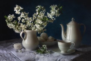 Weiße Blüten Teezeit von Tatyana Skorokhod